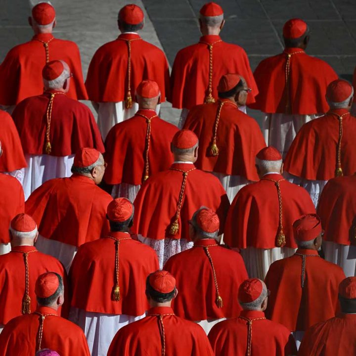 What are the Tasks and Ranks of Cardinals? - The Southern Cross