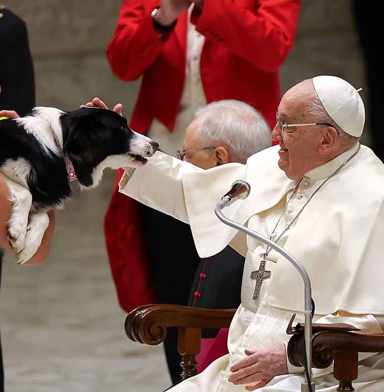 POPE FRANCIS GENERAL AUDIENCE JAN. 15, 2025