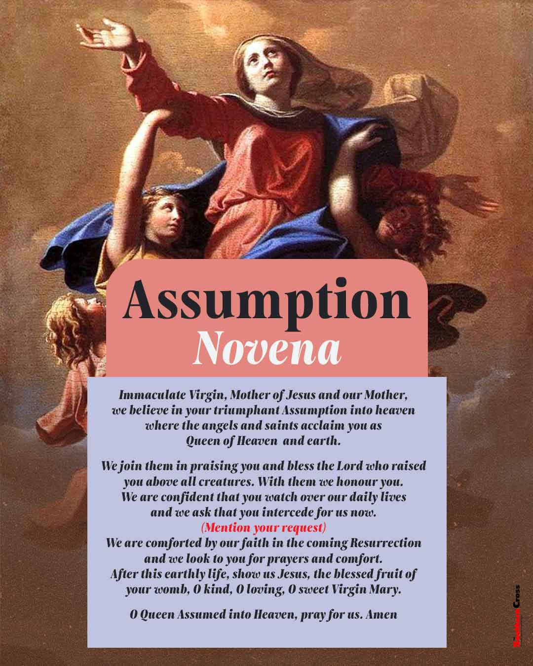 Assumption Novena