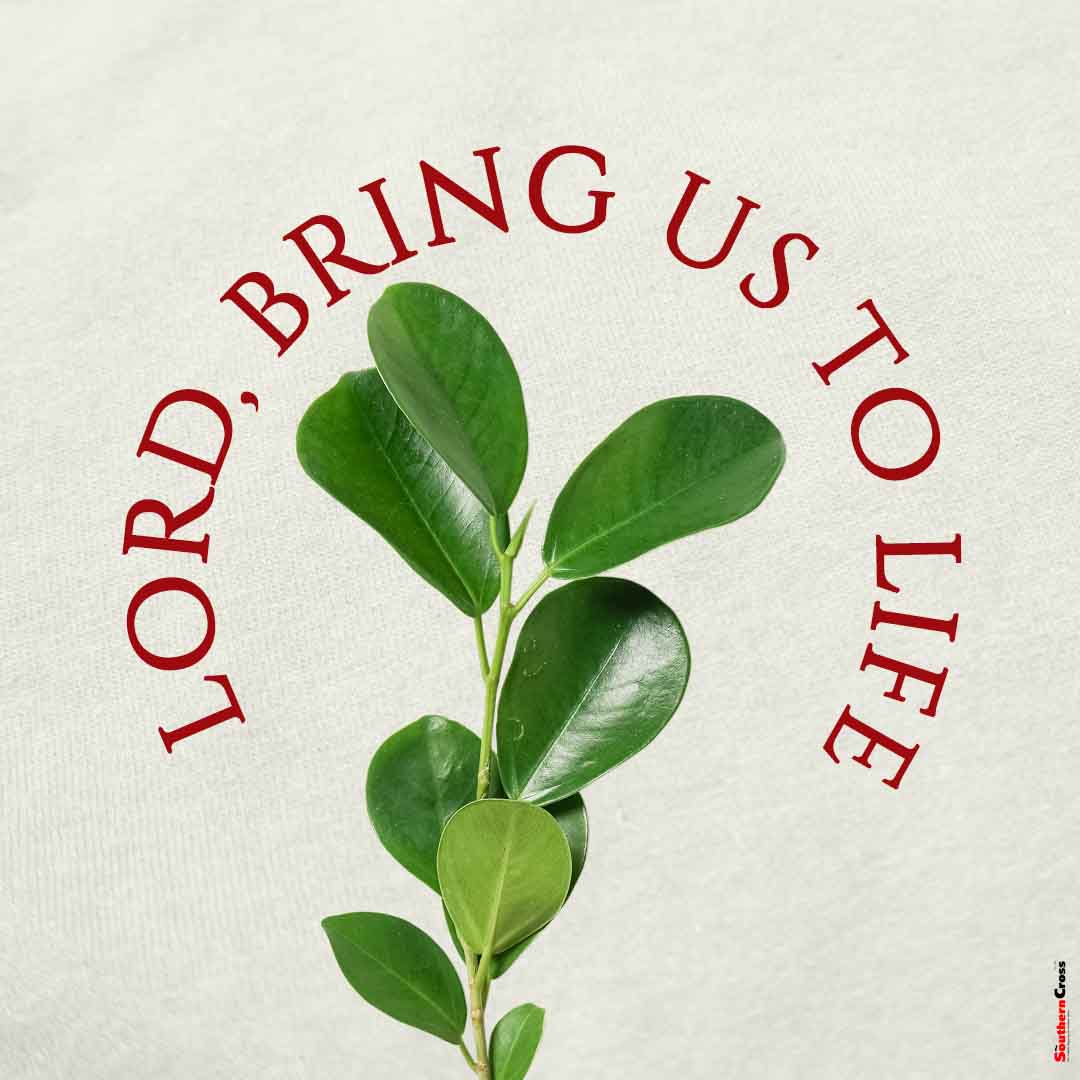 Lord bring us to life