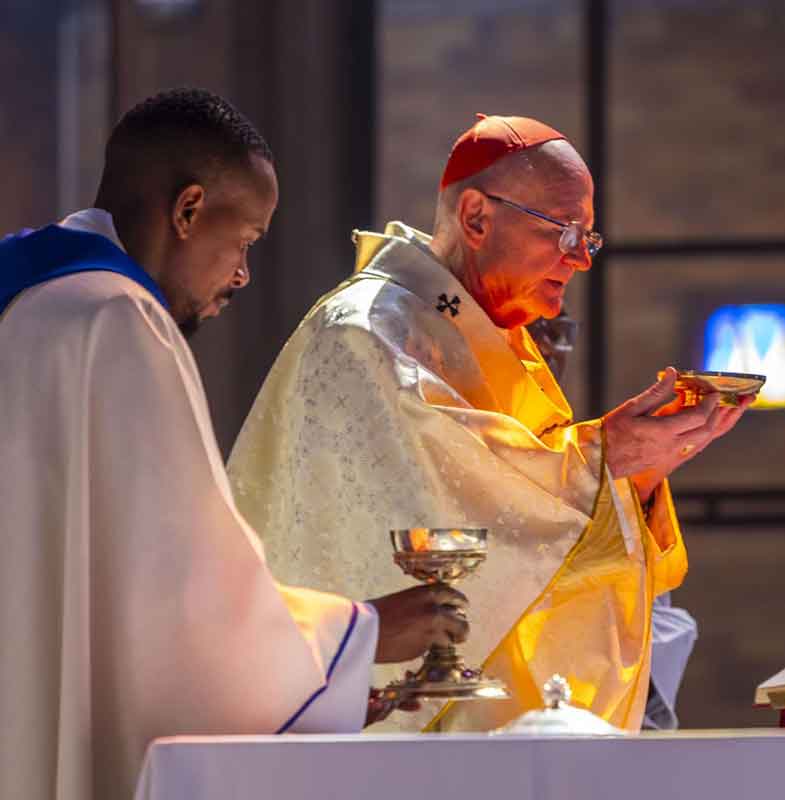 Cardinal Stephen Brislin celebrates Mass on the first day of the year 2026. Photo: Sheldon Reddiar
