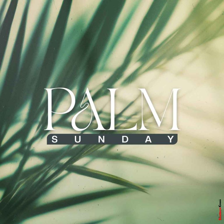 Palm Sunday of the Lord’s Passion Year A - The Southern Cross