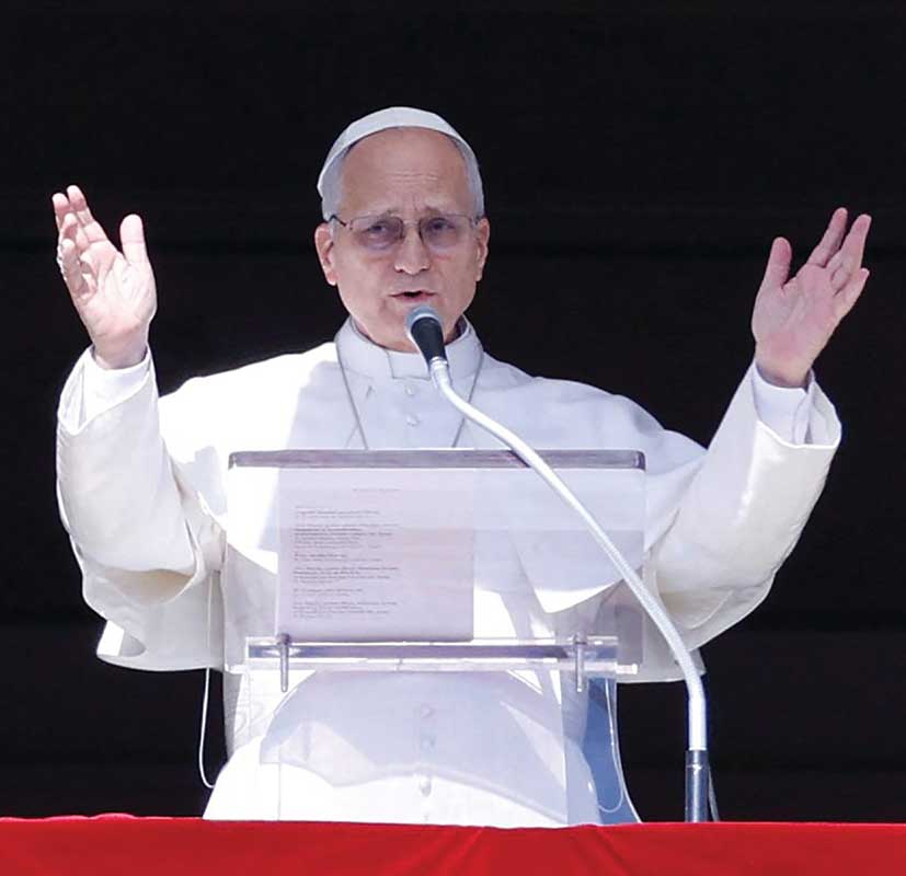 Pope Leo at Angelus