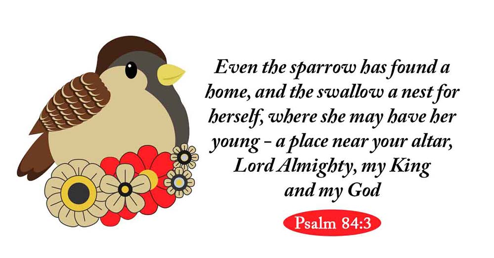 Psalm 843
