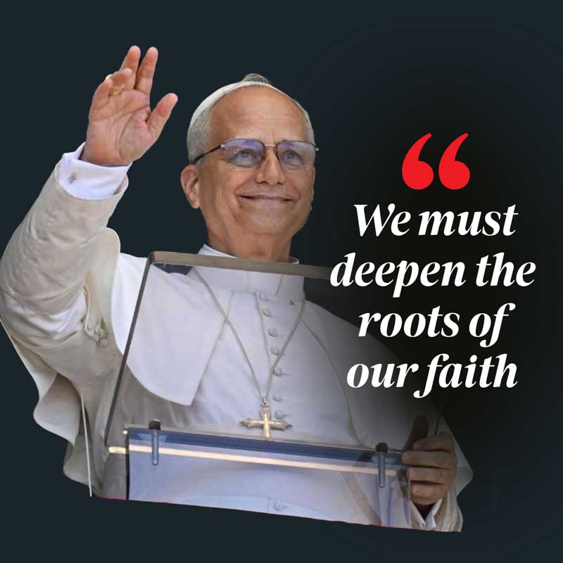 Pope Leo XIV Quote