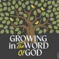 Growing in the Word of God