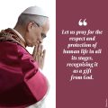 Pray with the Pope July 2026