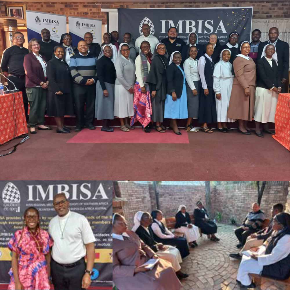 IMBISA Workshop