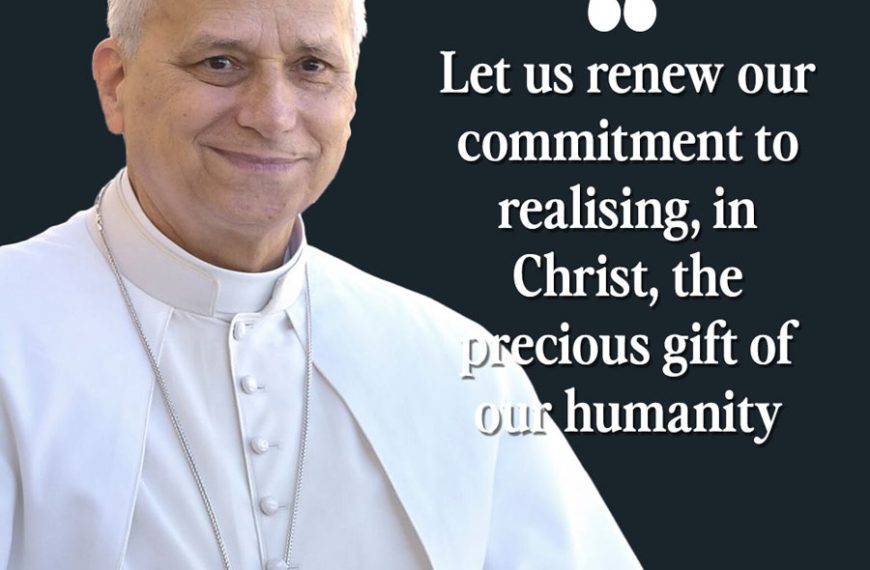 Pope’s Catechesis on Gaudium et Spes