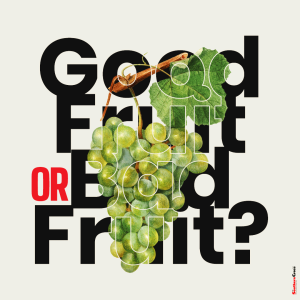 Good fruit or bad fruit?