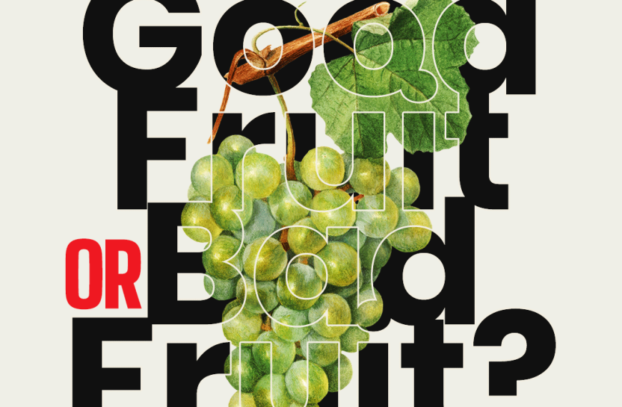 Good fruit or bad fruit?