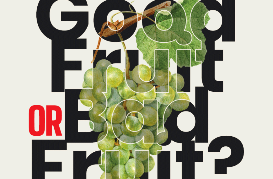 Good fruit or bad fruit?