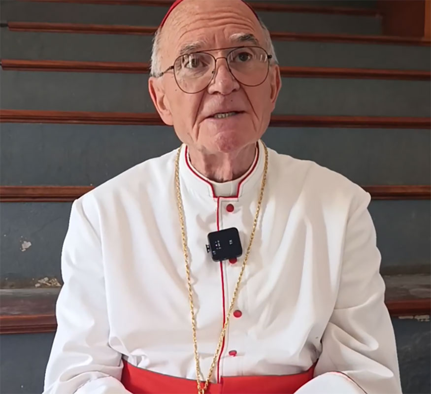 Cardinal Brislin interviewed by Far East Rand Catholic News reflects on the 10th anniversary of Amoris Laetitia